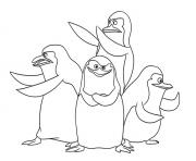 Printable penguin gang 3d08 coloring pages