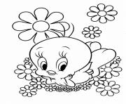 Printable cute looney tunes tweety bird s1b0d coloring pages