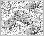 Printable printable butterfly for adults coloring pages
