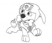 Printable paw patrol zuma with a bone coloring pages