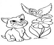 Printable The kitty playing with a bird kitten coloring pages