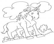 Printable Indian Unicorn Equus Assinoceros unicorn coloring pages