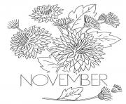Printable November Chrysanthemum Flower coloring pages