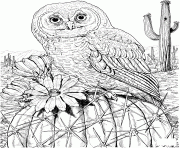 Printable mexican spotted owl on cactus hard animal adult coloring pages