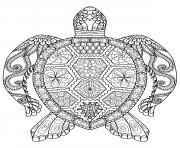 Printable advanced adult zentangle zen turtle coloring pages
