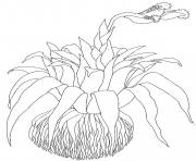 Printable umbrella mural coloring close up bromeliad reverse by jan brett coloring pages