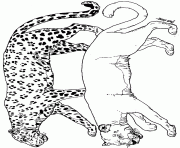 Printable on noahs ark coloring mural leopard by jan brett coloring pages