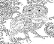 Printable owl beautiful adult difficile coloring pages