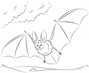 Printable townsends big eared bat halloweens coloring pages