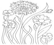Printable simple flowers for adult relaxing coloring pages
