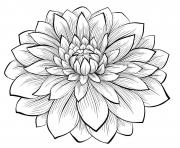 Printable adult dahlia flower coloring pages
