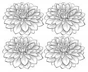 Printable adult four dahlia flowers coloring pages