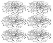 Printable adult six dahlia flower coloring pages