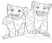 Printable babies snow leopard coloring pages