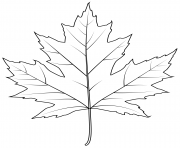 Printable silver maple leaf coloring pages