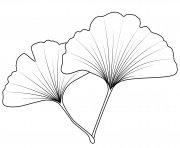Printable maidenhair leaf coloring pages