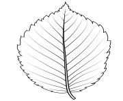 Printable american elm leaf coloring pages