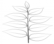 Printable kentucky coffee leaf coloring pages