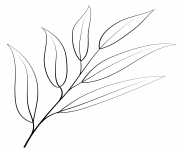 Printable willow oak leaf outline coloring pages