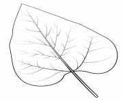 Printable nothern catalpa leaf coloring pages