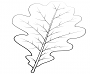 Printable english oak leaf coloring pages