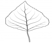 Printable quaking aspen leaf coloring pages