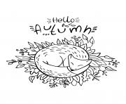 Printable fall hello autumn fox sleeping in leaves coloring pages