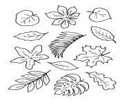 Printable fall autumn leaves to color coloring pages