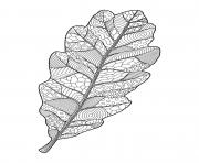 Printable fall oak leaf doodle for adults coloring pages