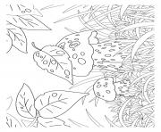 Printable fall mushrooms in long grass coloring pages