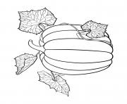 Printable fall pumpkin patterned vine leaves coloring pages