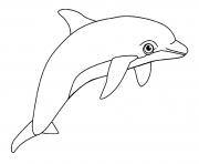Printable dolphin aquatic animal coloring pages