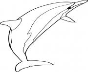 Printable Spinner Dolphin coloring pages