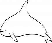 Printable White Beaked Dolphin coloring pages