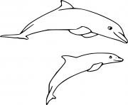 Printable Dolphin with Young Dolphin coloring pages