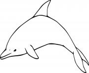 Printable Striped Dolphin coloring pages