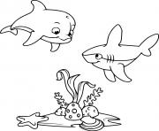 Printable Cute Dolphin and a Shark Under Sea coloring pages