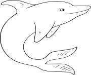 Printable Gorgeous Dolphin coloring pages