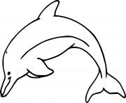 Printable Atlantic Humpbacked Dolphin coloring pages
