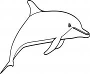 Printable Clymene Dolphin coloring pages