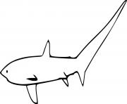 Printable Simple Thresher Shark coloring pages
