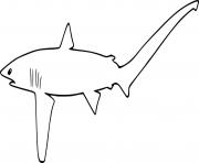 Printable Common Thresher Shark coloring pages