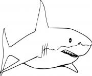 Printable Simple White Shark coloring pages