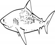 Printable Swimming Tiger Shark coloring pages