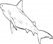 Printable Swimming Bull Shark coloring pages