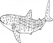 Printable Easy Whale Shark coloring pages