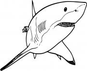 Printable Swimming Lemon Shark coloring pages