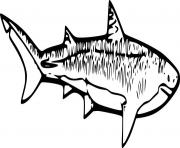 Printable Sand Tiger Shark coloring pages