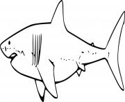 Printable Very Easy White Shark coloring pages