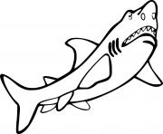 Printable Easy Great White Shark coloring pages